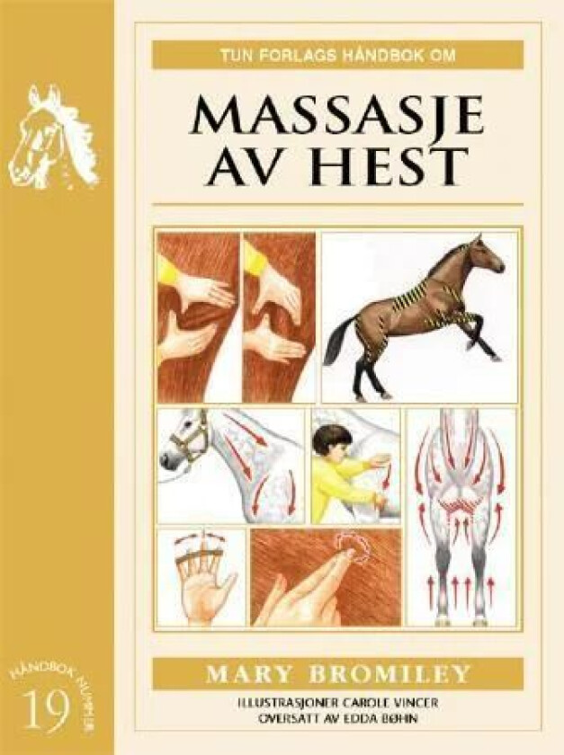 Massasje av hest av Mary Bromiley