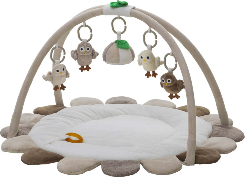 Baby Owls Babygym - Babygym