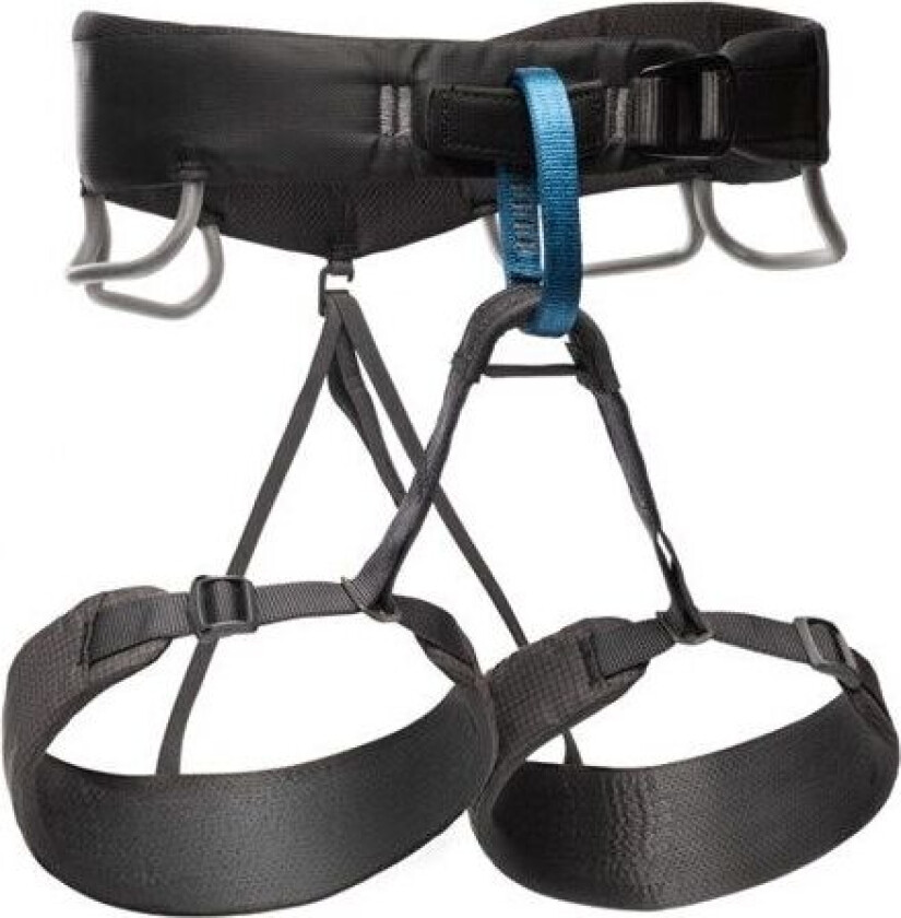 Momentum Harness M Anthracite XXL