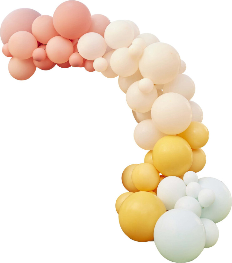 GingerRay Ballongbue, Flerfarget - Dekorasjoner