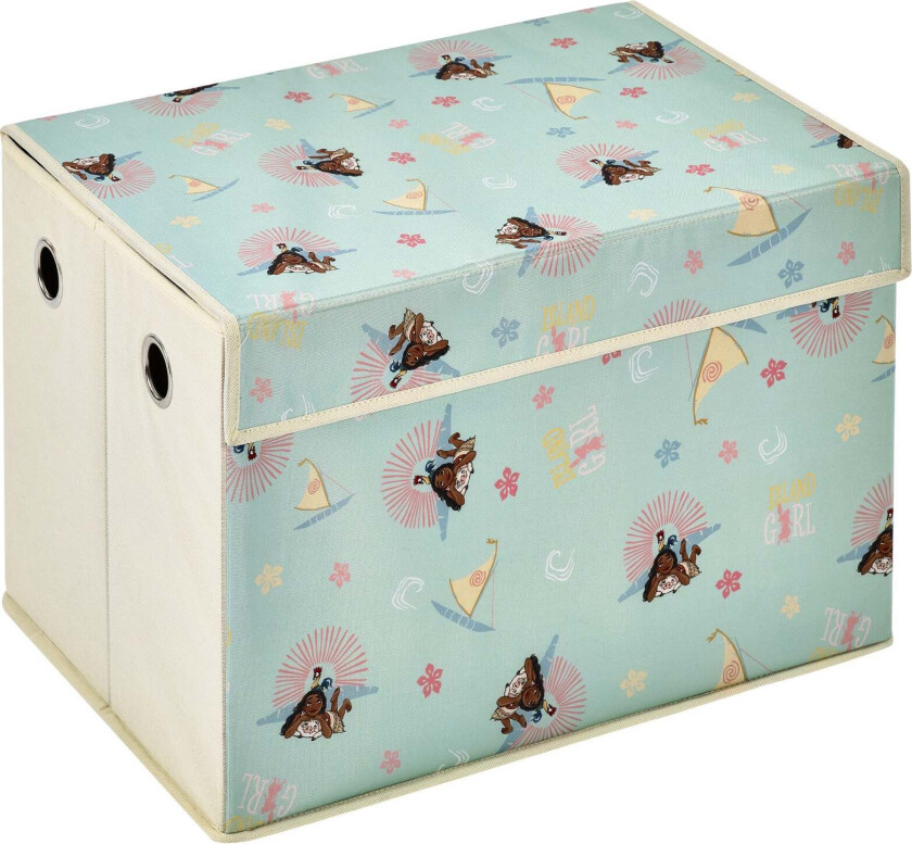 Oppbevaringskasse, Turkis - Esker