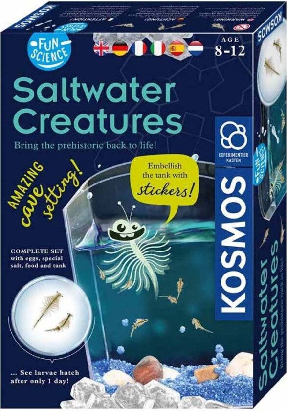 Fun Science Eksperimenteske Saltwater Creature - Eksperiment