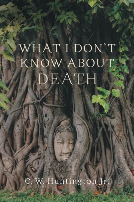 What I Don't Know About Death av C. W. Huntington