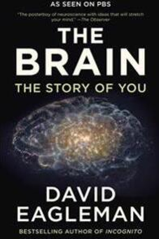 The Brain: The Story of You