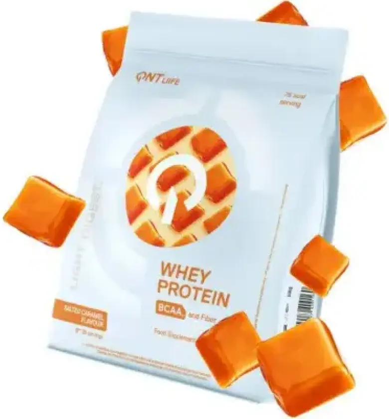 Whey Protein Light Digest 500g, proteinpulver