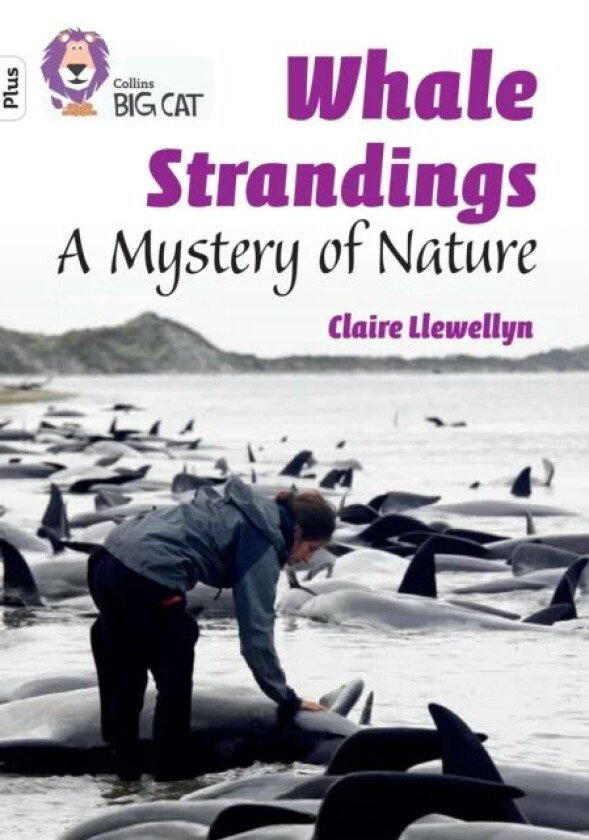 Whale Strandings: A Mystery of Nature av Claire Llewellyn