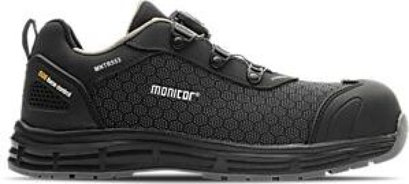 Vernesko monitor pentagon 46pentagon boa monitor