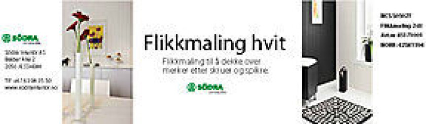 Flikkmaling skagen 2 dl0