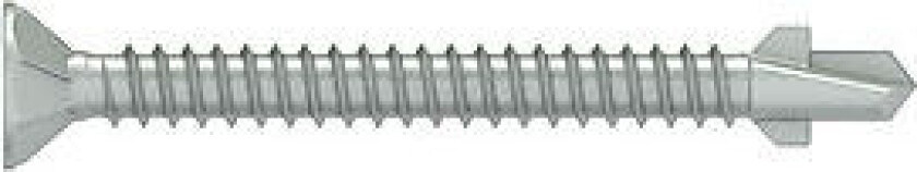 Borwingskrue protec 4,2x45 mm tx25 100 stk