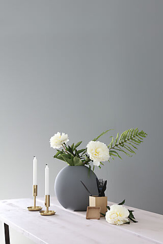 Veggplate Walls2Paint 12x620x3000 mm