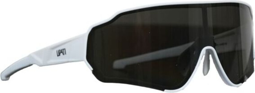Chicago Chic Sunglasses