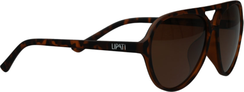 Boston Breeze Sunglasses
