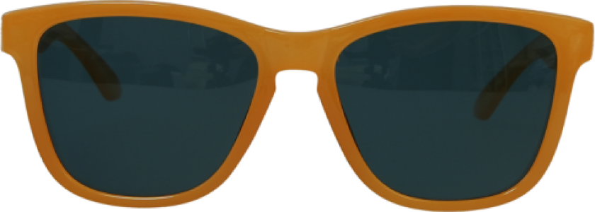 Sydney SunSplash Sunglasses