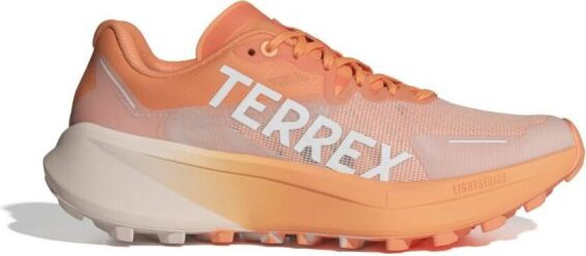 Terrex Agravic 3