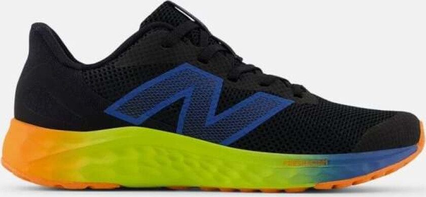 Fresh Foam Arishi v4 GS