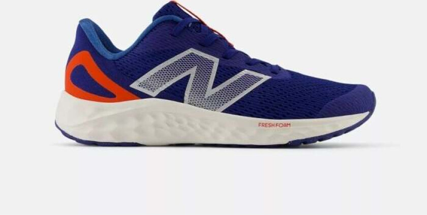 Fresh Foam Arishi v4 GS