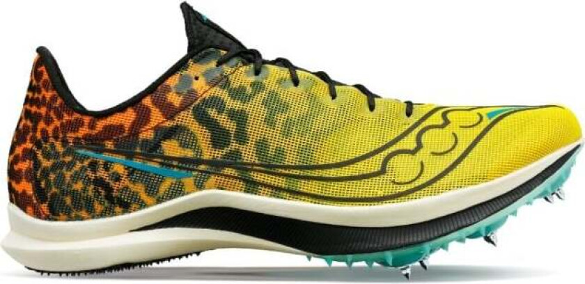 Cheetah Spike