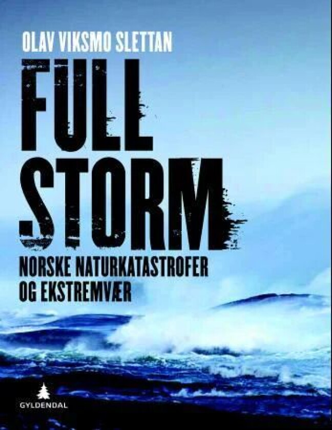 Full storm av Olav Viksmo-Slettan