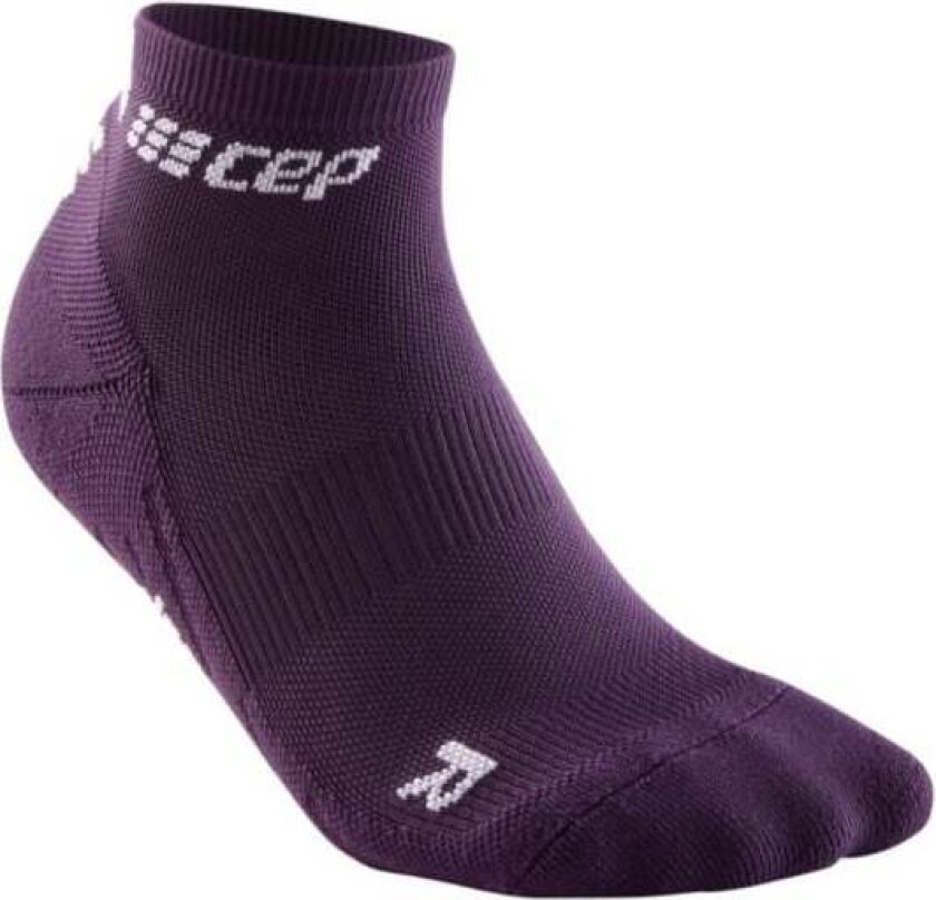 The Run Socks Low Cut V4