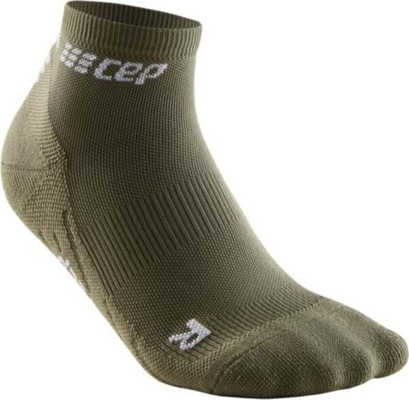 The Run Socks Low Cut V4