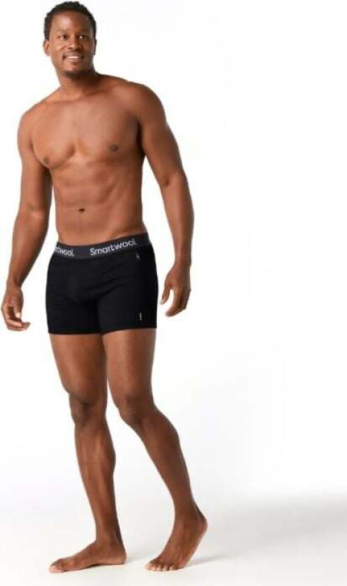 Boxer Brief Boxed Wool