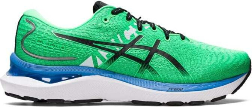 Gel-Cumulus 24 Ekiden