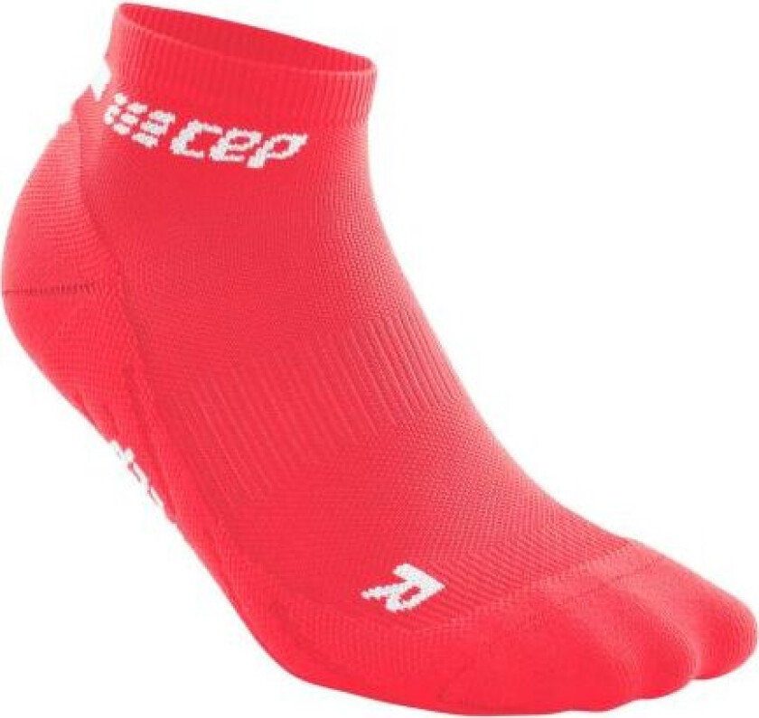 The Run Socks Low Cut V4