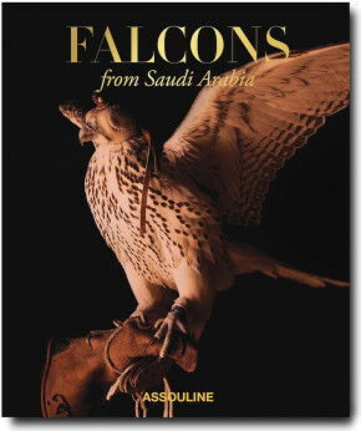 Falcons From Saudi Arabia