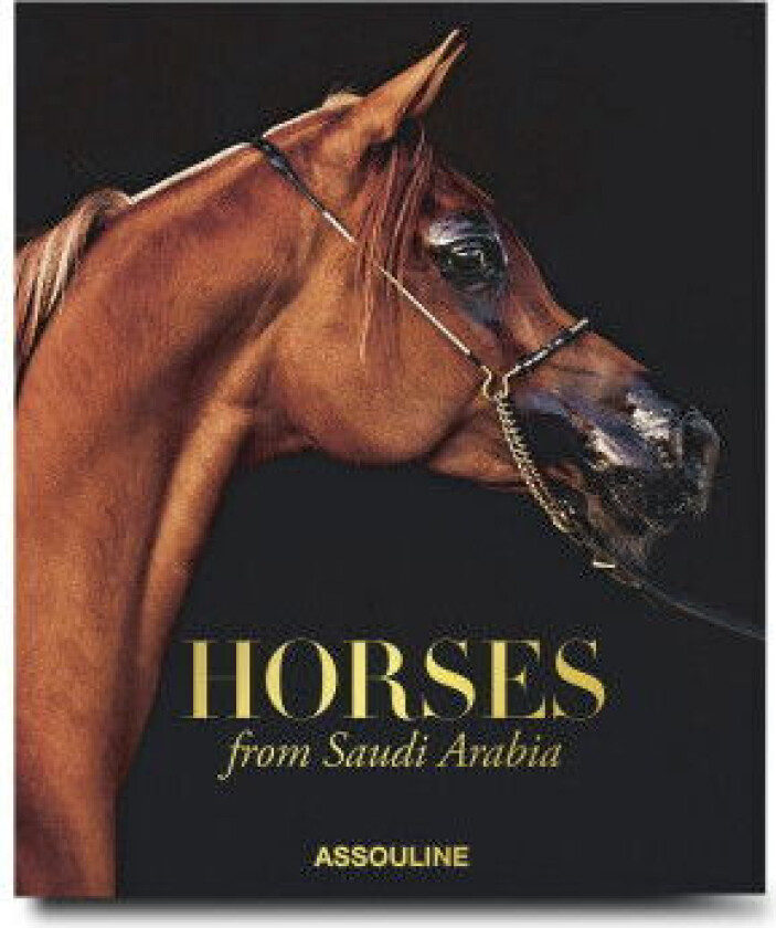 Horses From Saudi Arabia