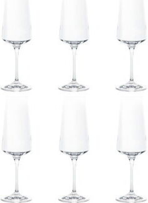 Avenue champagneglass, 6-pk