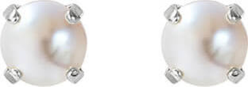 Classic Stud øredobber pearl rhodium