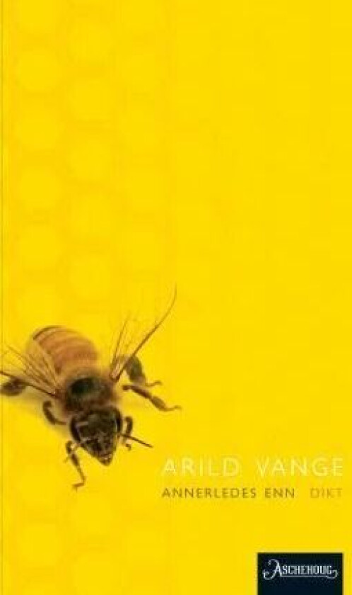 Annerledes enn av Arild Vange