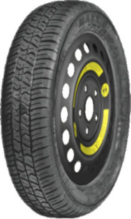M9500 ( T165/70 R17 114M )