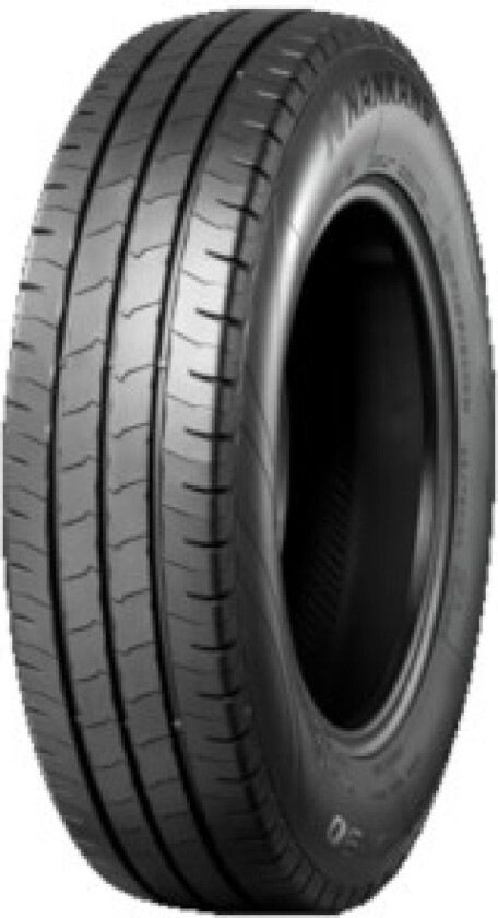 Van CW-30 ( 245/40 R20C 109/107R )