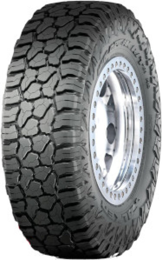 WILDPEAK R/T01 ( LT265/70 R17 121/118Q, POR BLK )