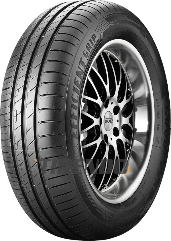 EfficientGrip Performance ( 205/55 R17 91V EVR )