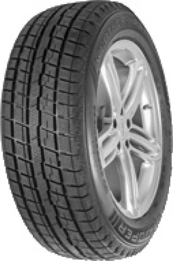 Weather-Master Ice 100 ( 225/45 R19 92T )