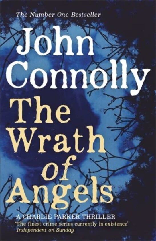 The Wrath of Angels av John Connolly