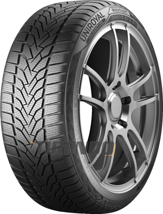 WinterExpert ( 205/55 R17 95V XL EVc )