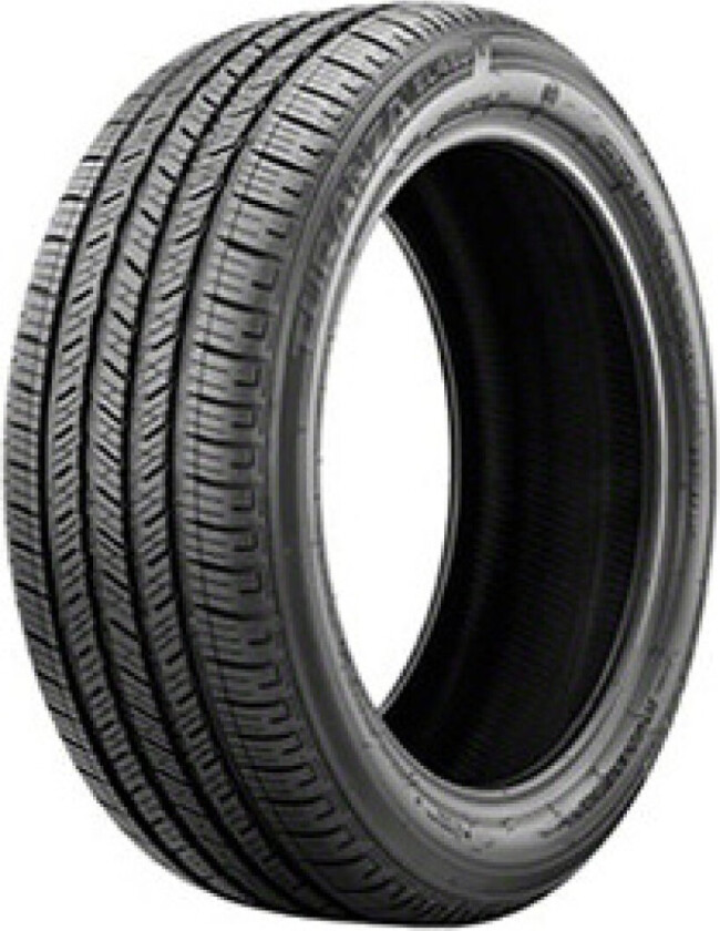 Turanza EL 450 RFT ( 225/40 R19 89W AR, runflat )