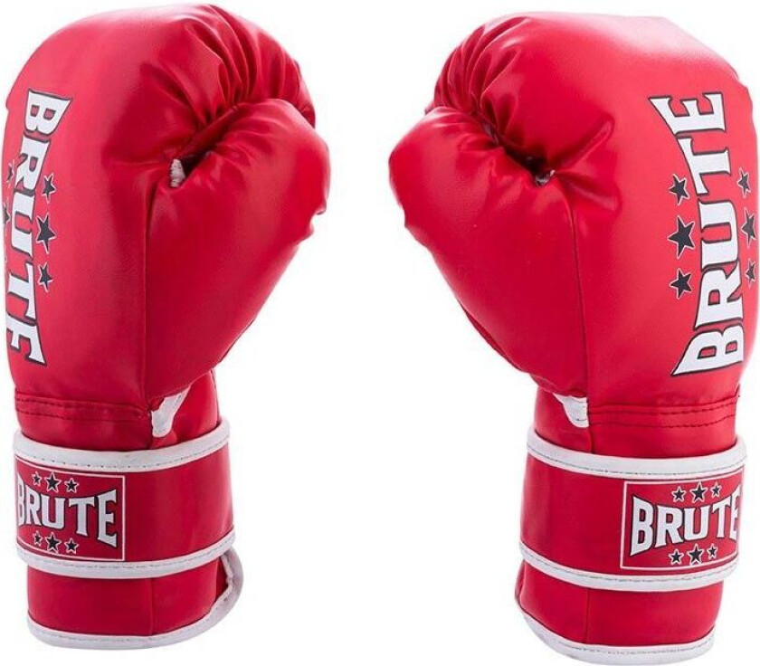 Starter Boxing Gloves