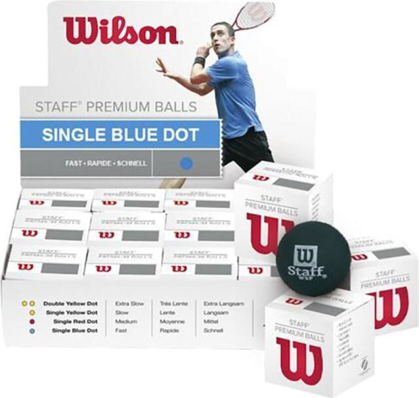 Staff Squash Ball Blue Dot