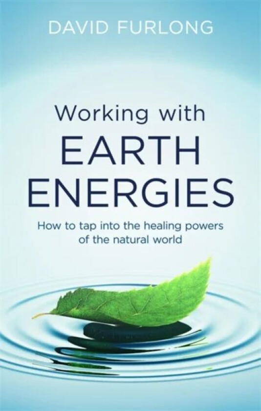 Working With Earth Energies av David Furlong