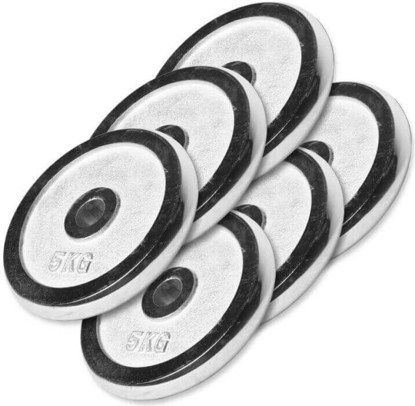 Vektskiver KROM - 6x5kg