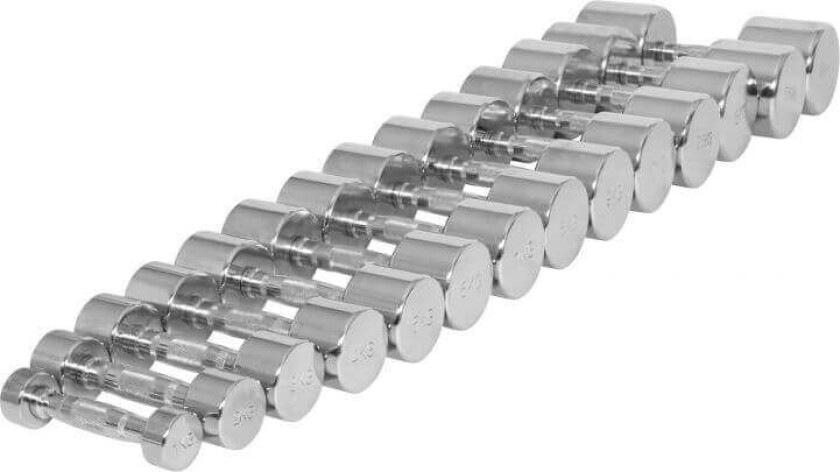 Dumbbells Chrome