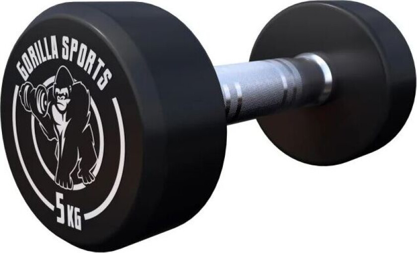 Dumbbells GS Rubber - 2,5-40 kg
