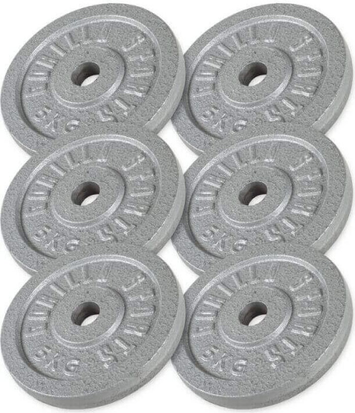 Bilde av Vektskiver JERN Sølv - 6x5kg