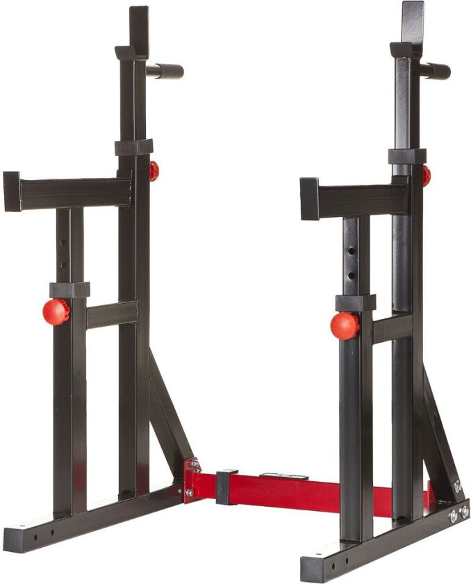 SQUAT RACK / DIP STAND ADVANCED