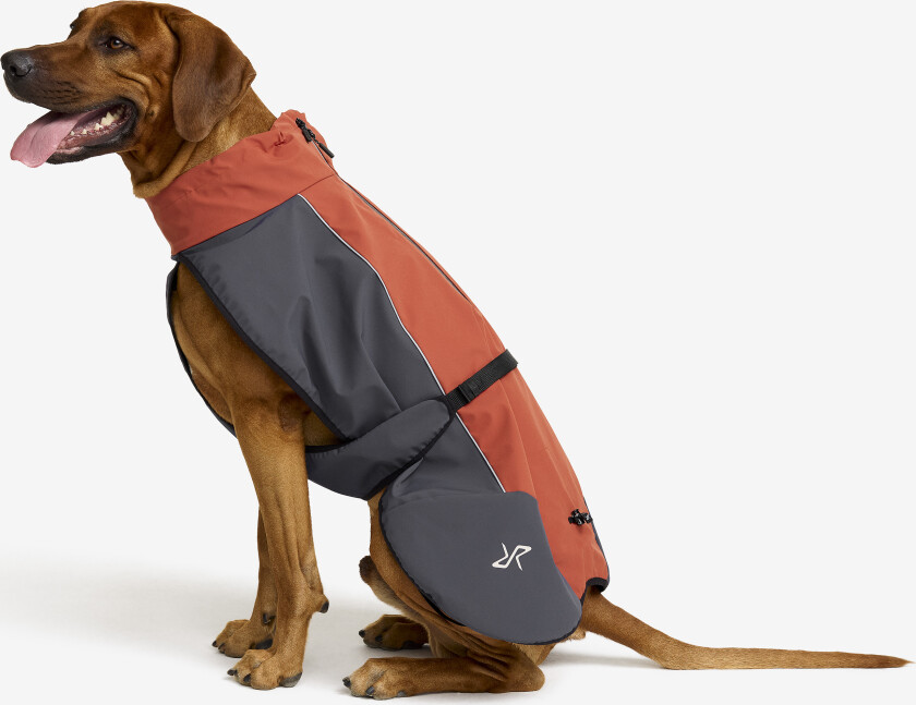 Tilbehør > Hund, Cyclone Dog Jacket Hund Bossa Nova/India Ink, Størrelse:40