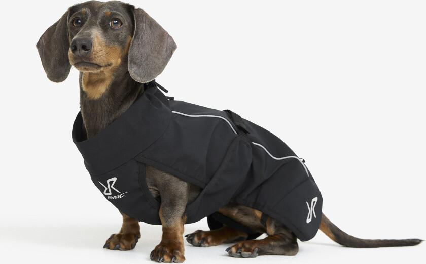 Cyclone Dog Jacket Hund Black, Størrelse:50 - Tilbehør > Hund